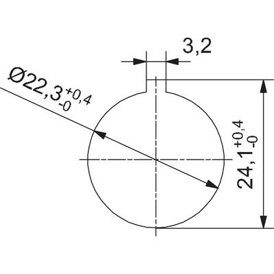 Technische Zeichnung eines Kreises mit markierter Bohrung oben. Durchmesser des Kreises: 22,3 mm ±0,4. Gesamthöhe: 24,1 mm ±0,4.