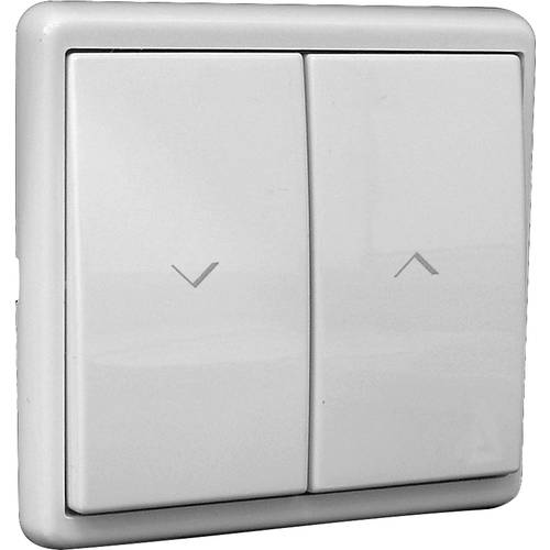 Kaiser Nienhaus 321113 Wandtaster Unterputz