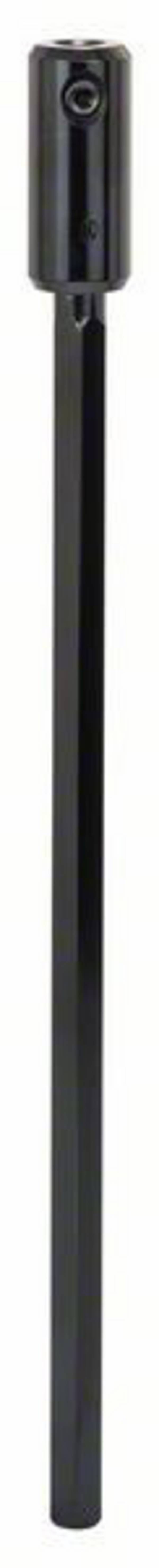 Bosch Accessories 2608580094 2608580094  1 St.