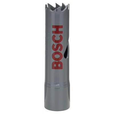 Bosch Accessories Bosch 2608584100 Lochsäge  16 mm  1 St.