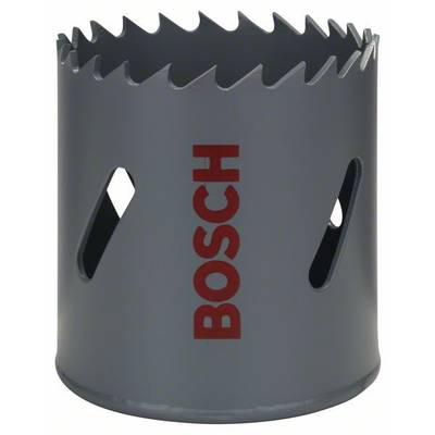 Bosch Accessories Bosch 2608584116 Lochsäge  48 mm  1 St.