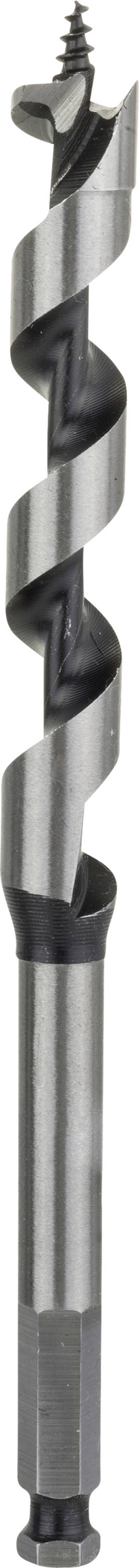 Bosch Accessories 2608585700 Schlangenbohrer 13 mm Gesamtlänge 160 mm Sechskantschaft 1 St.