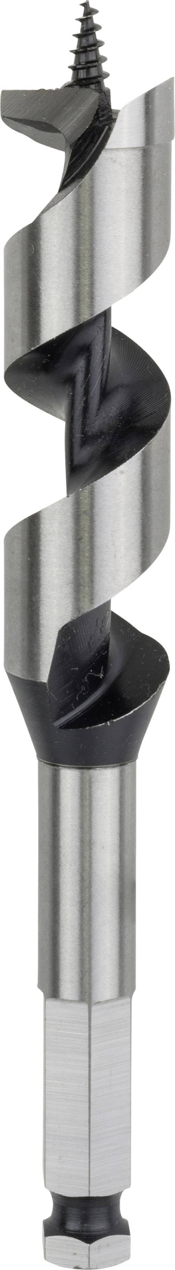 Bosch Accessories 2608585706 Schlangenbohrer 22 mm Gesamtlänge 160 mm Sechskantschaft 1 St.