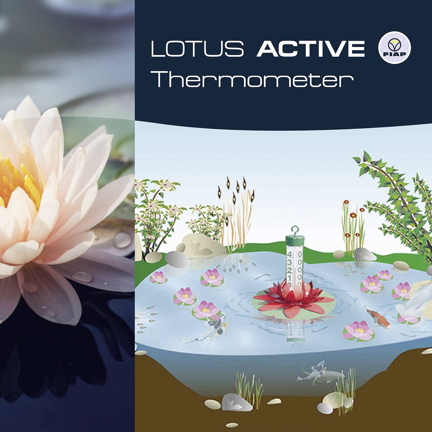 'LOTUS ACTIVE Thermometer' grafische Darstellung. Ein Seerosenblattthermometer schwimmt in einer Teichlandschaft mit Blumen.