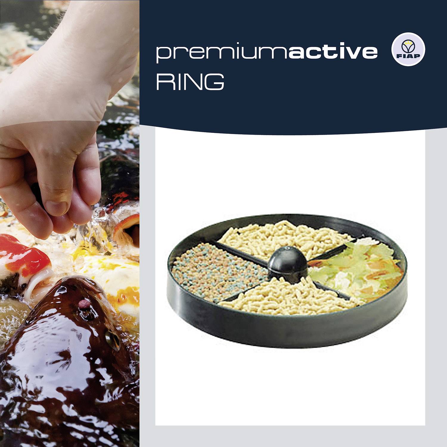 'Premium Active Ring' Produktanzeige. Linke Seite: Hand füttert Fische. Rechte Seite: Runde Schale mit verschiedenen Futtersorten.