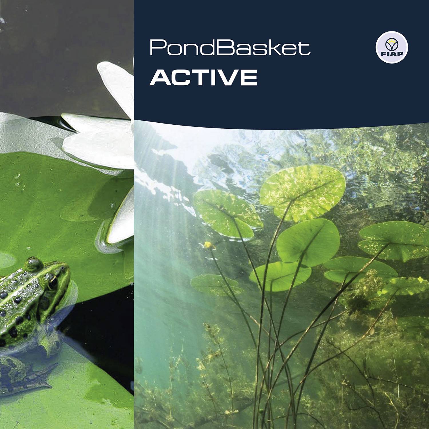 Eine grüne Wasseroberfläche mit einer Froschgrafik links und grünen Wasserpflanzen rechts. Text: 'PondBasket ACTIVE'.