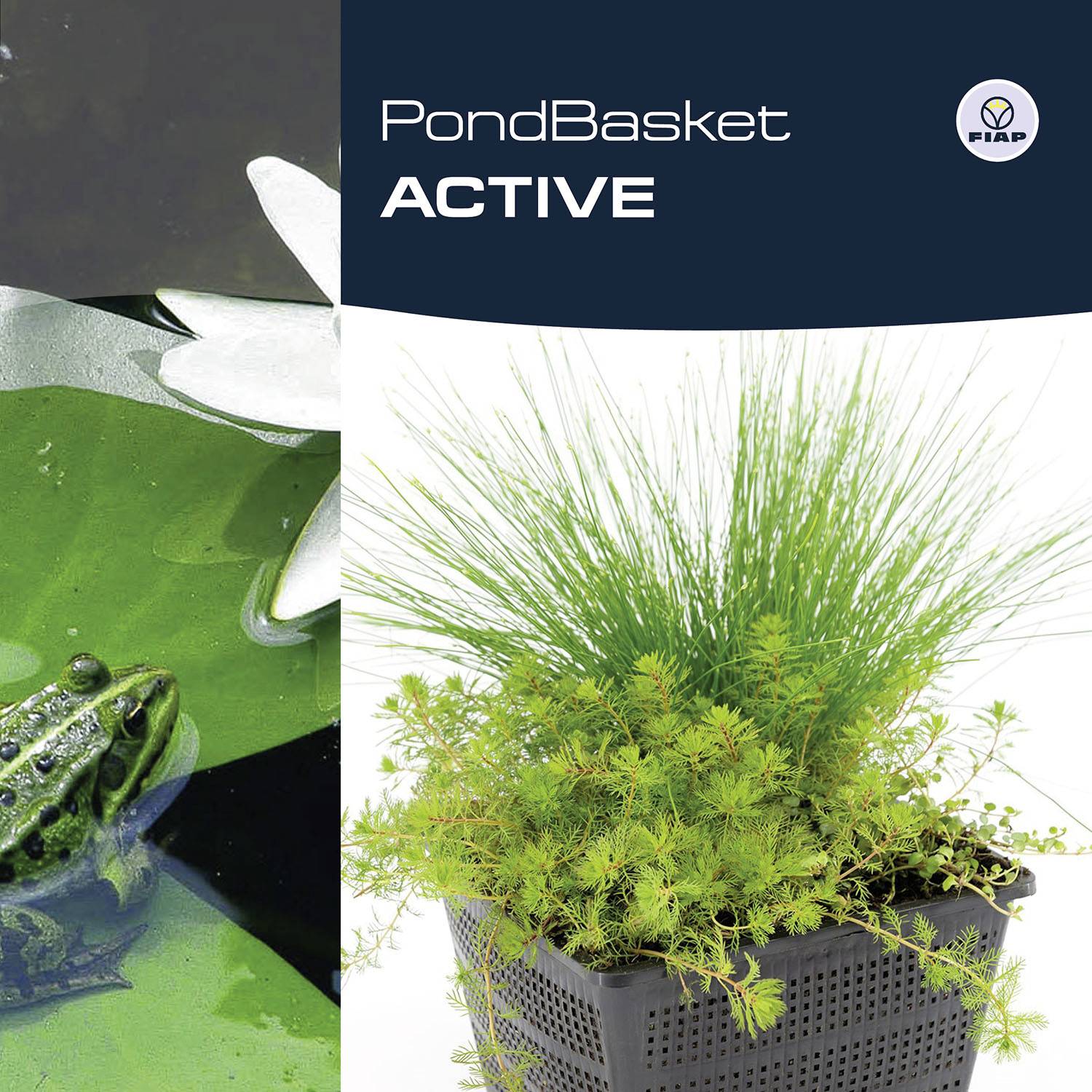'PondBasket ACTIVE' zeigt ein grünes Wasserbecken mit einer schwimmenden Pflanze und einen rechteckigen, belüfteten Pflanzenbehälter.