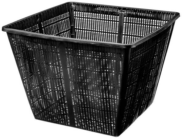 FIAP 2304 PondBasket Active 350 x 350 mm Teich-Pflanzkorb (L x B x H) 350 x 350 x 260 mm 1 St.