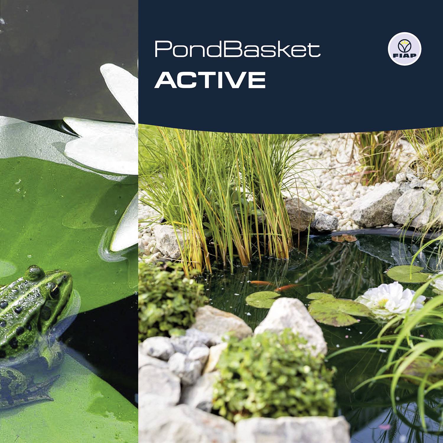 'PondBasket ACTIVE' Prospekt-Bild: Frosch im Teich neben Praxisbeispiel für Teicheinsatz von Produkten mit Wasserpflanzen und Steinen.