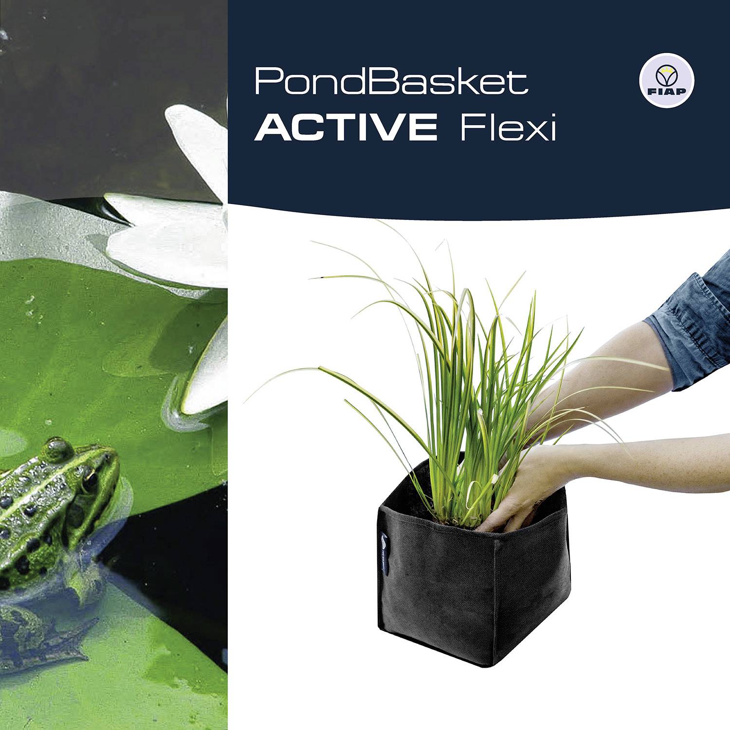 Ein Frosch im Wasser neben einer Blume links. Rechts hält eine Hand eine schwarze flexible Pflanzenbox mit Gräsern.