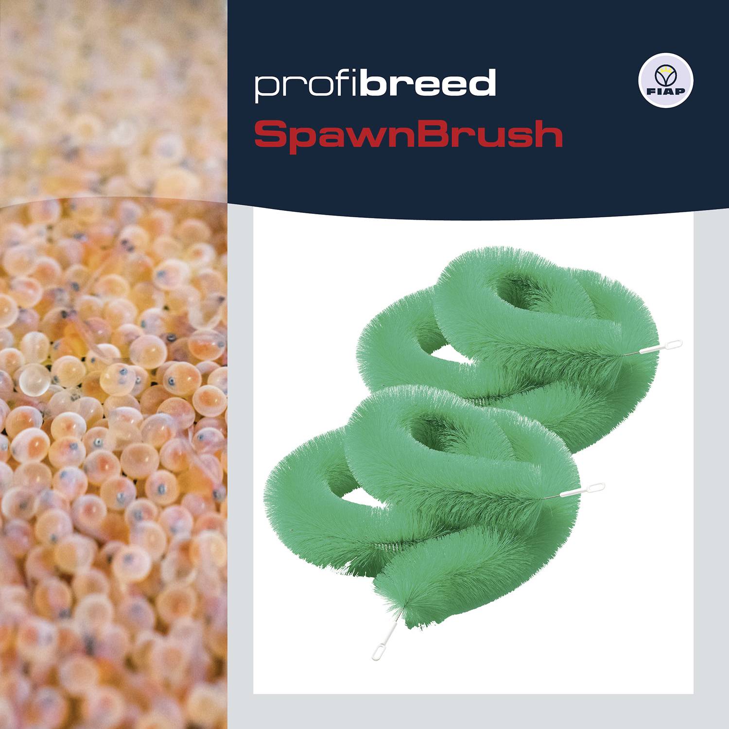 Auf der linken Seite viele Forelleneier. Auf der rechten Seite eine grüne Bürste in Spiralform. Oben links der Text 'profibreed SpawnBrush'.