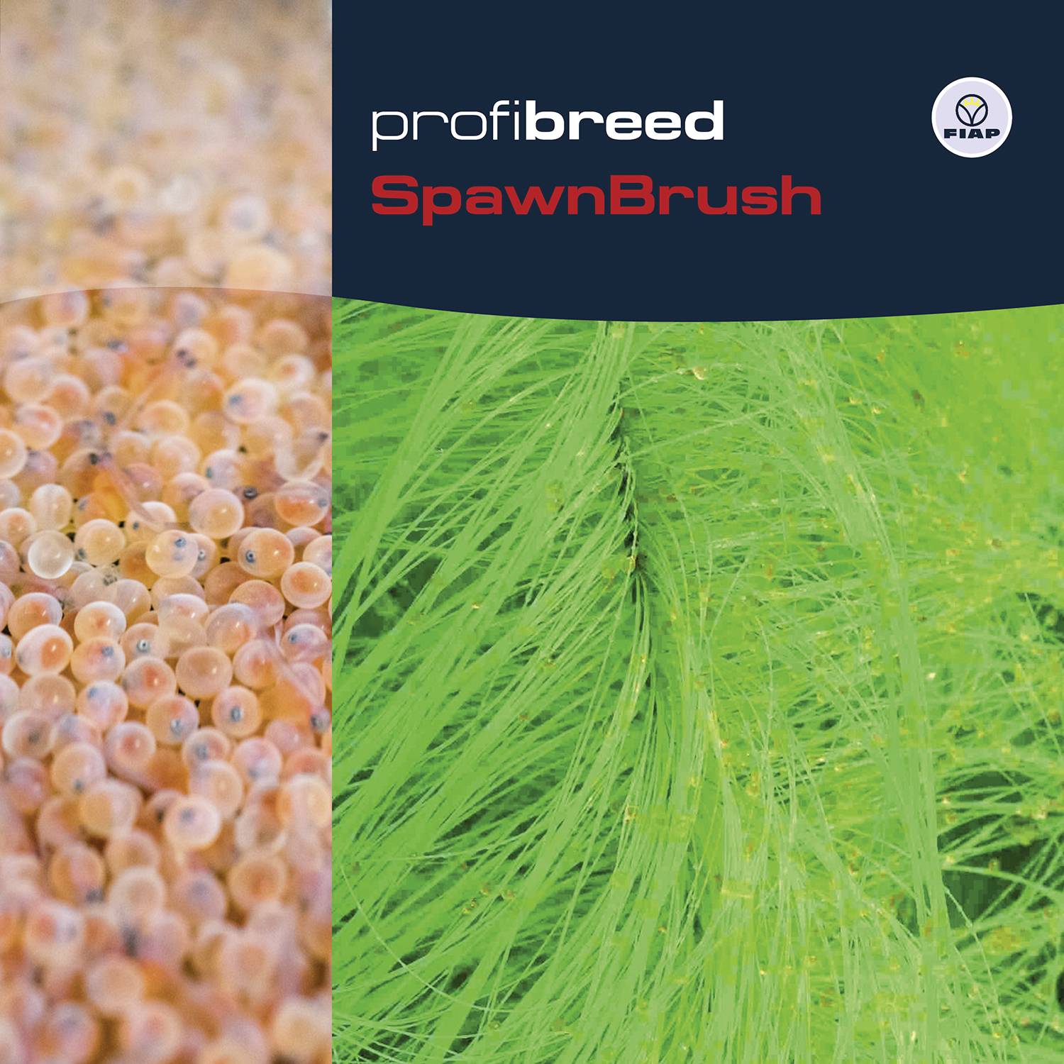 Nahaufnahme eines Spawning-Bürste-Produkts mit orangefarbenen Fisch-Eiern links und grünen Borsten rechts. Text: 'profibreed SpawnBrush'.