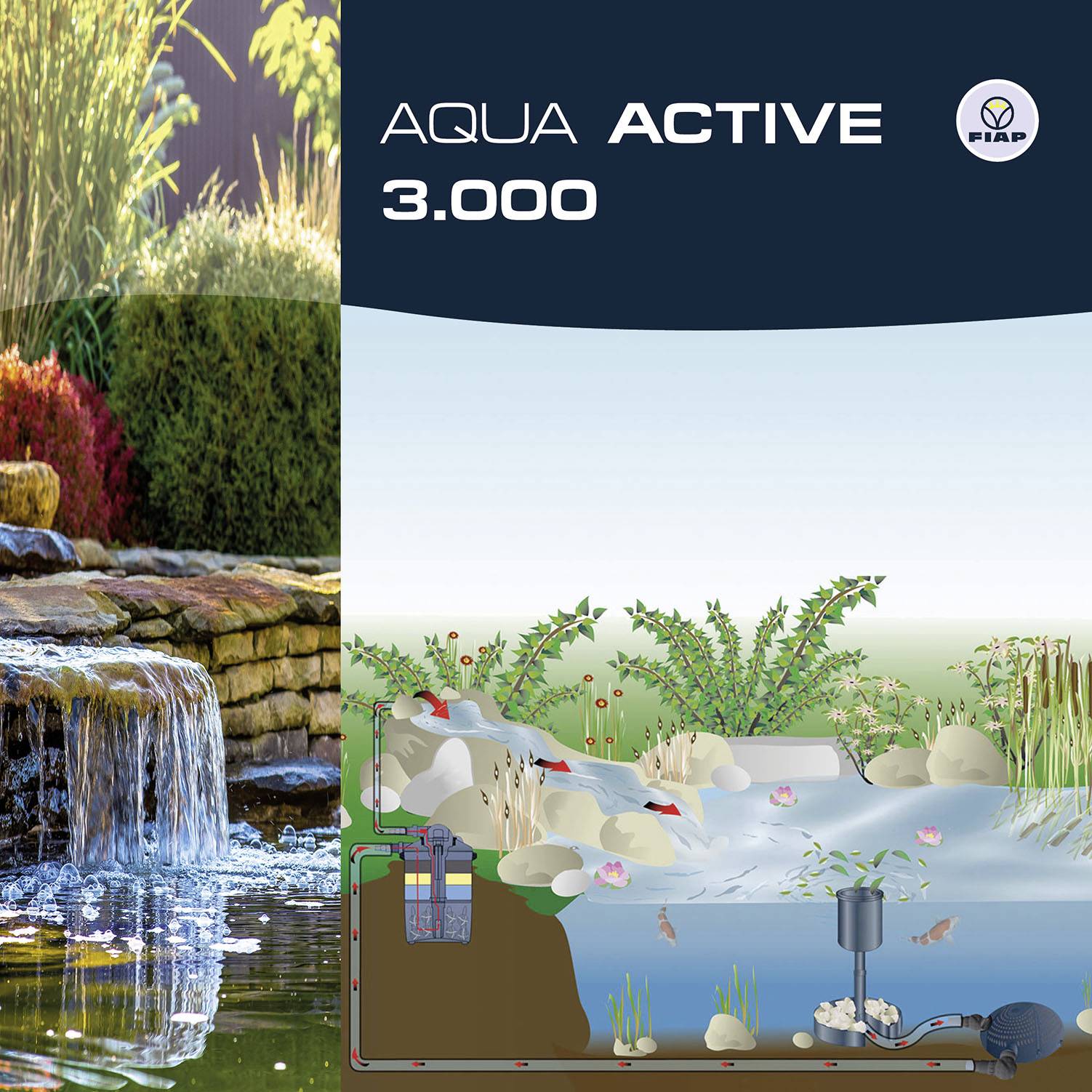 'Illustration eines Teichs mit Pflanzen, Fischen und einem Filtersystem. Neben dem Teich steht 'AQUA ACTIVE 3.000' geschrieben.'