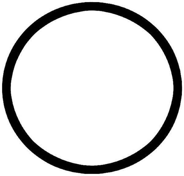 FIAP 2770-7 Ersatztülle O-Ring (Ø) 55 mm 1 St.