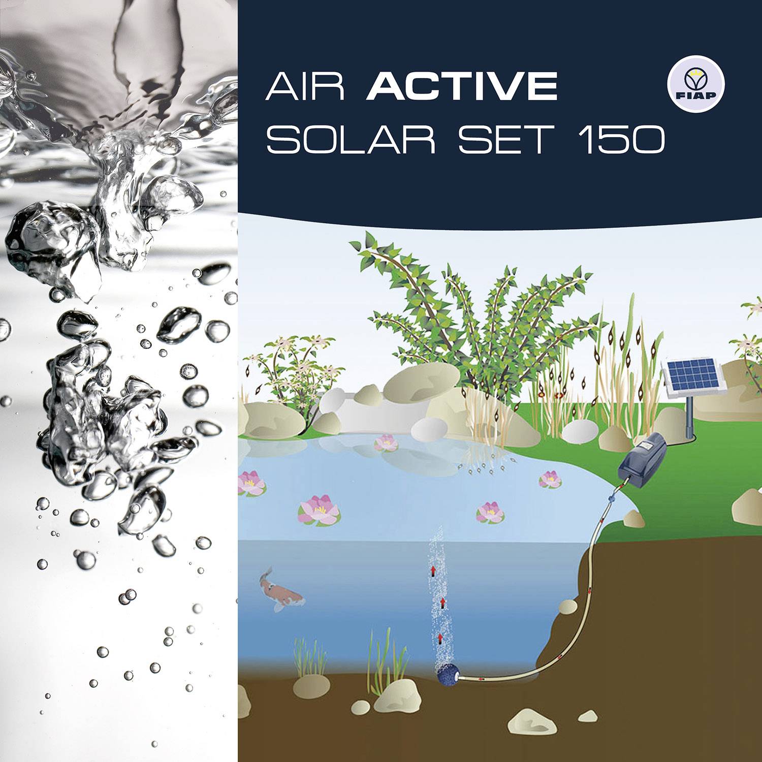 'Illustration eines Teichs mit Solarpanel und Pumpe; Wasserpflanzen, Fische und Solarenergie-System zur Sauerstoffzufuhr dargestellt.'