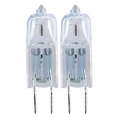Zwei kleine Halogenlampen mit klaren, zylindrischen Glasgehäusen und Stiften zur elektrischen Verbindung, vor weißem Hintergrund.