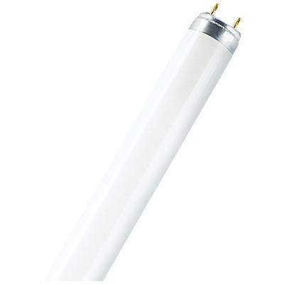 OSRAM Leuchtstoffröhre EEK: G (A - G) G13 18 W Neutralweiß  Röhrenform (Ø x H) 26 mm x 26 mm  1 St.