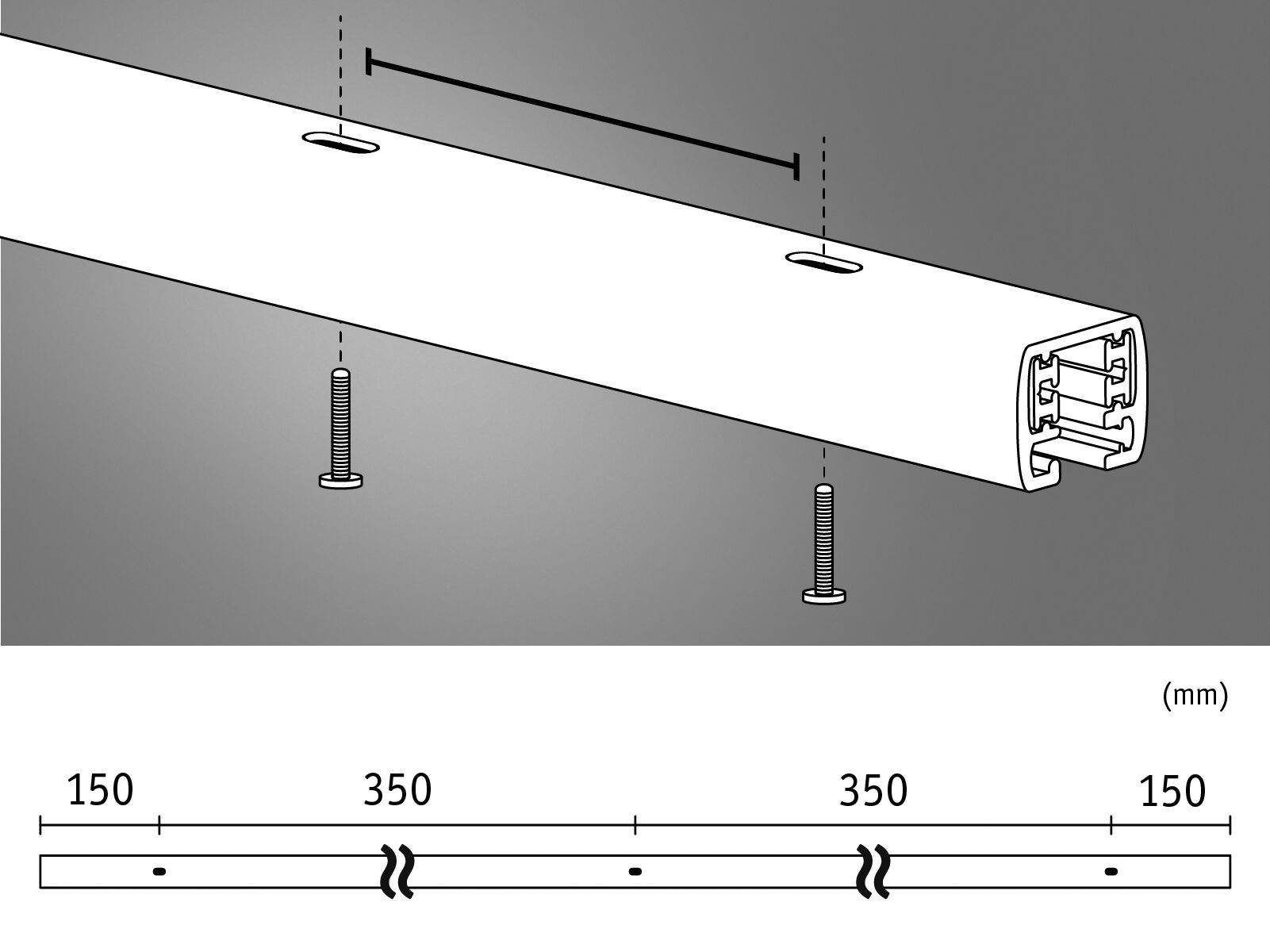 'Illustration eines Montageträgers mit Schrauben und Maßen. Gesamtbreite 1000 mm, Schraubenabstand 350 mm zentriert mit Endabständen von 150 mm.'