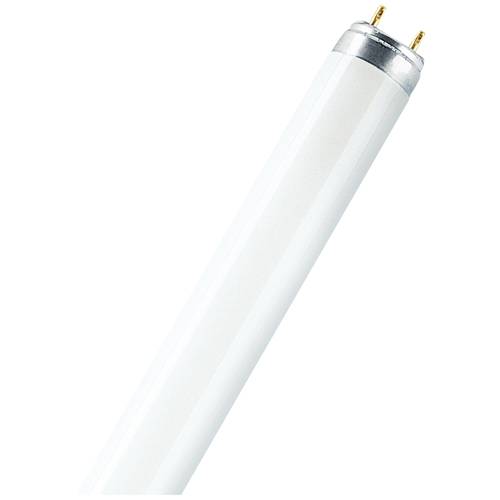 OSRAM HOMELIGHTING Leuchtstoffröhre EEK: G (A - G) G13 36 W Warmweiß Röhrenform (Ø x L) 26 mm x 1213.5 mm 1 St.