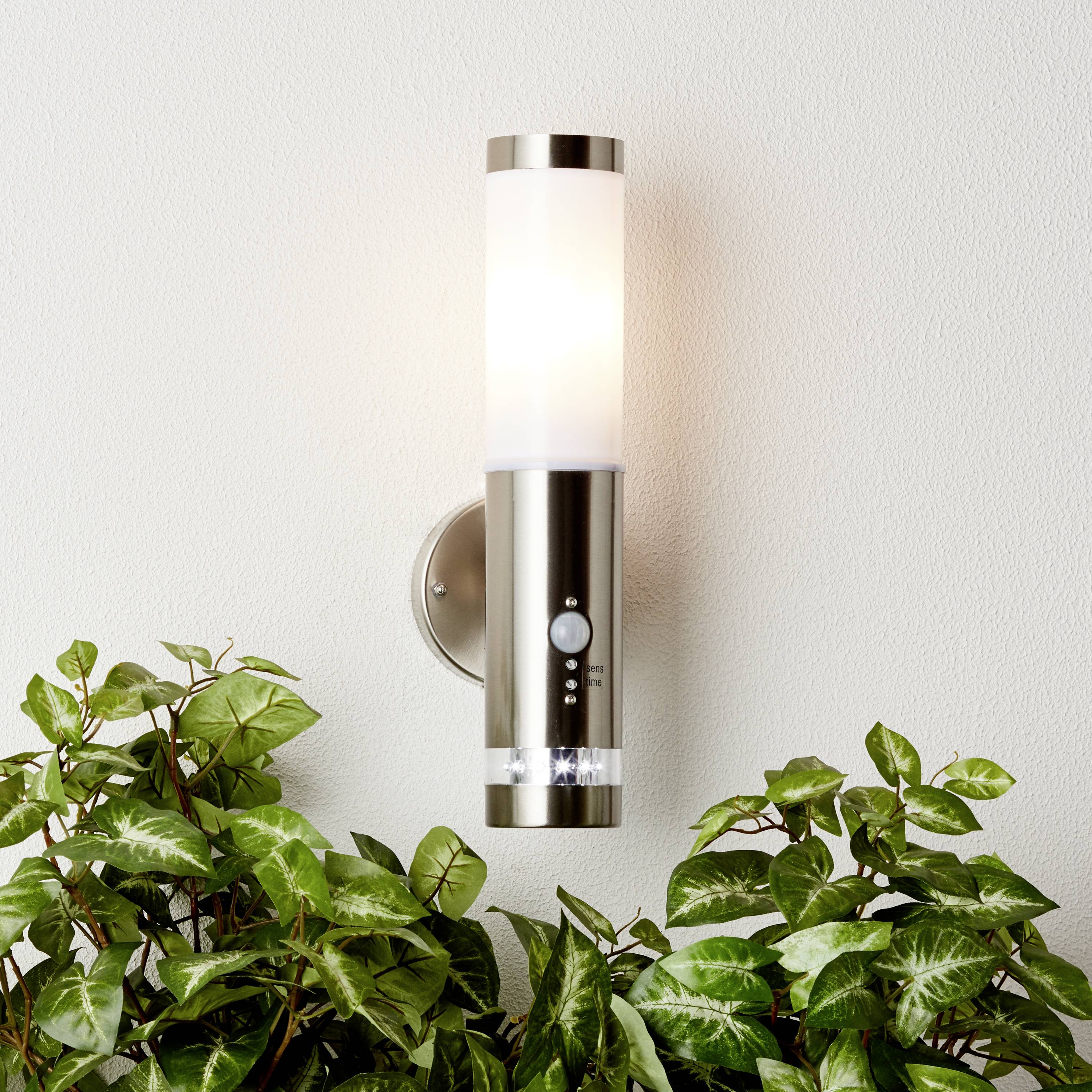 Eine moderne Wandlampe aus Metall leuchtet neben einer Gruppe von grünen Pflanzen und sorgt für eine stilvolle Beleuchtung.