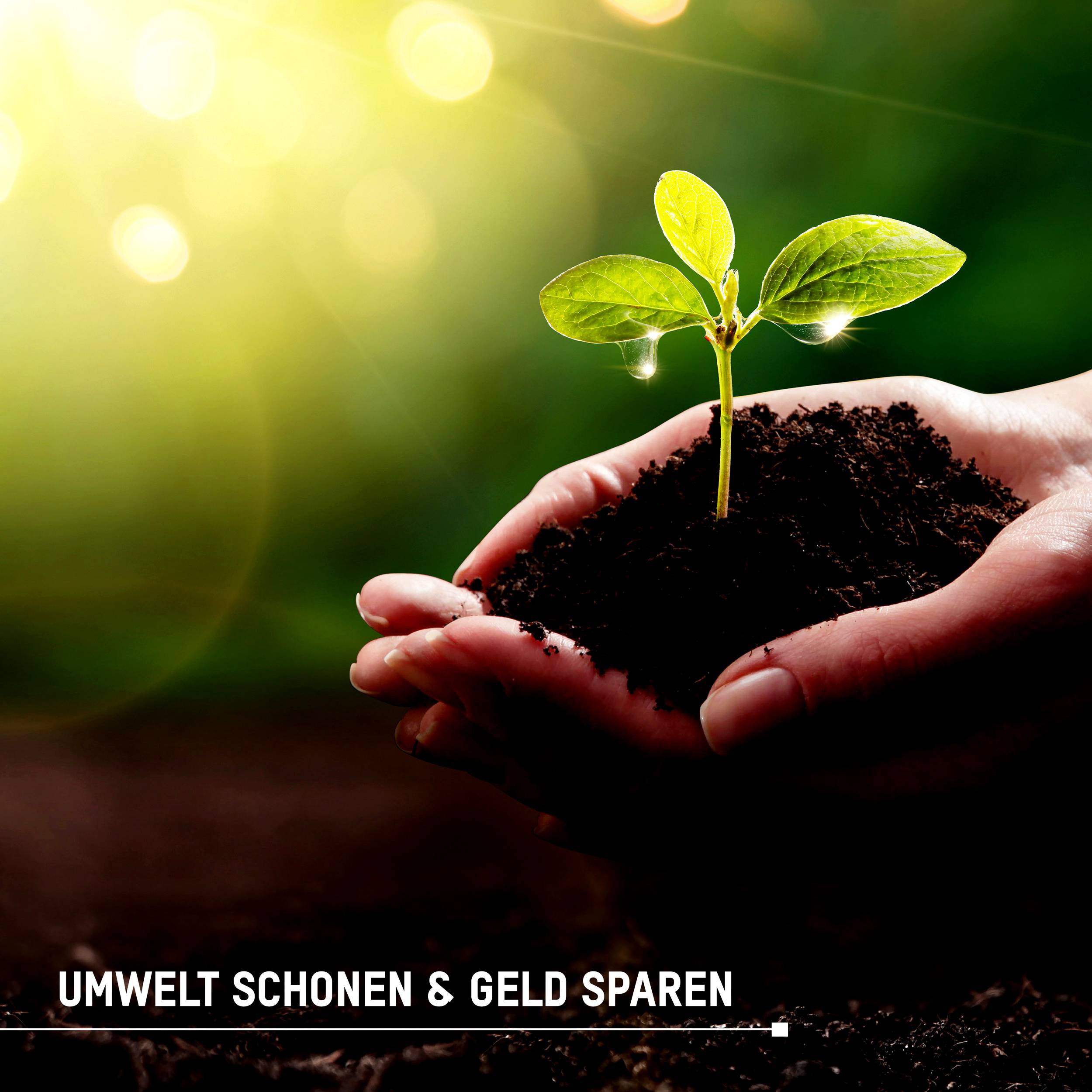 Eine Hand hält eine kleine Pflanze mit grünen Blättern über Erde im Sonnenlicht. Unten steht 'Umwelt schonen & Geld sparen'.
