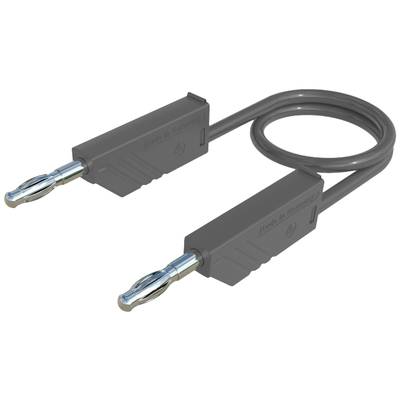 Graues Bananensteckerkabel mit zwei Steckern und einer Schlaufe, die für Lautsprecherverbindungen oder elektrische Tests verwendet wird.