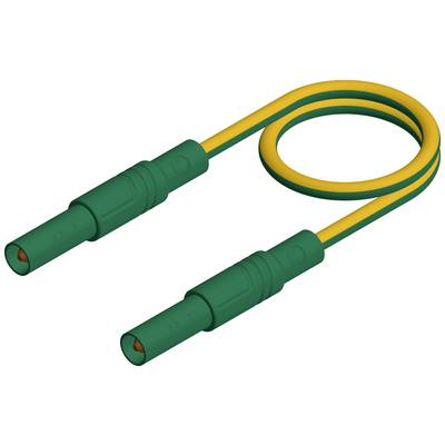 Ein gelb-grünes Erdungskabel mit zwei grünen Steckverbindern an den Enden. Es symbolisiert elektrische Sicherheit.