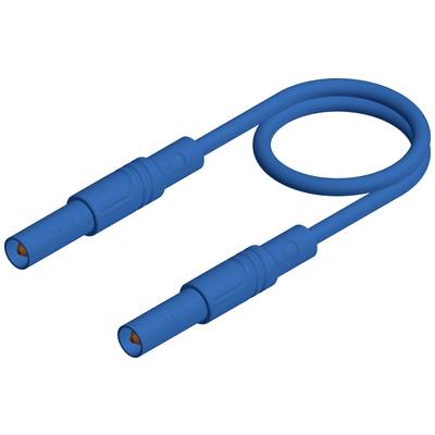Ein blaues Kabel mit zwei Steckverbindungen an den Enden, das in einer Schlaufe angeordnet ist, auf weißem Hintergrund.