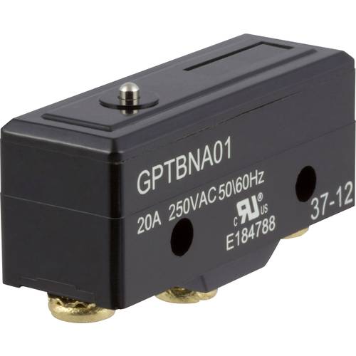 ZF GPTBNA01 Mikroschalter GPTBNA01 250 V/AC 20 A 1 x Ein/(Ein) tastend 1 St.