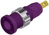 Hirschmann Test & Measurement MSEB 2610 F 2,8 Au Sicherheits-Laborbuchse Buchse, Einbau vertikal Stift-Ø: 2 mm Violett 1 St.