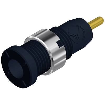 Stecker mit schwarzem Gehäuse und metallischem Ring, verwendet für elektronische Verbindungen.