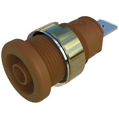Ein brauner elektrischer Steckverbinder mit einem blauen Anschlusskontakt und einem goldenen Ring in der Mitte, vor weißem Hintergrund.
