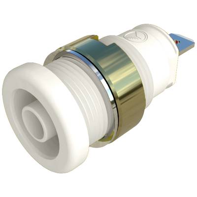 Ein weißer und goldfarbener Rohranschlussadapter aus Kunststoff, wahrscheinlich für Sanitärinstallationen, wird schräg von der Seite gezeigt.
