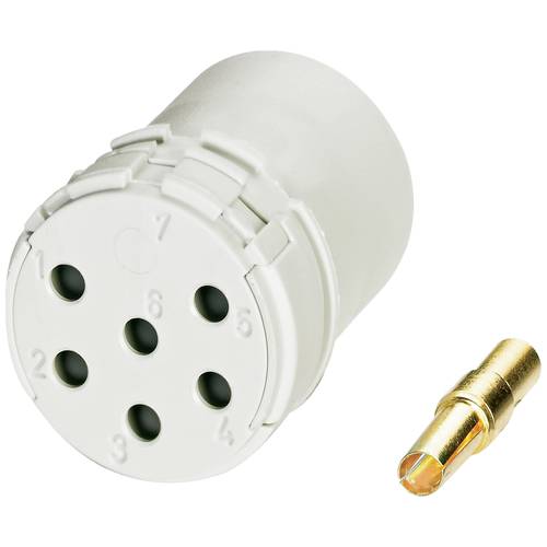 Kontakteinsätze mit Crimpkontakten für Serie RC, UC und TU 1599343 RC-12S1N8D0000 Phoenix Contact Inhalt: 1 St.