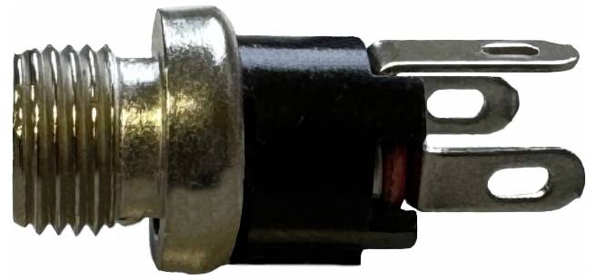 Steckerbuchse mit Metallgewinde und zwei flachen, abgerundeten Anschlussstiften in Nahaufnahme.