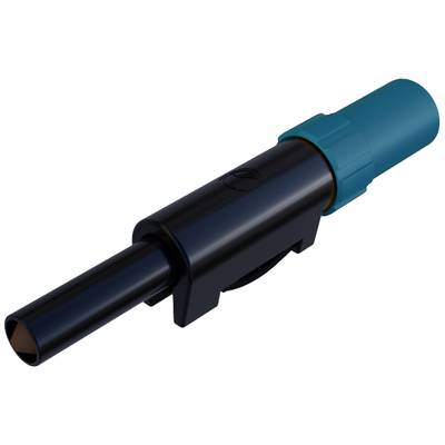 Blauer und schwarzer elektrischer Stecker, zylindrische Form, seitliche Ansicht.