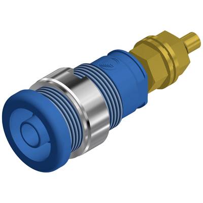 Ein blauer Pneumatik-Drucktaster mit einem Metallschaft und goldenem Befestigungselement.