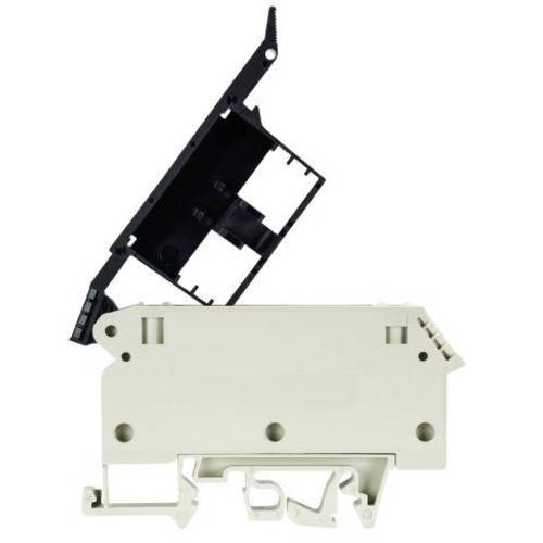 Wieland Electric 57.904.5355.0 Sicherungsklemme 1 St.