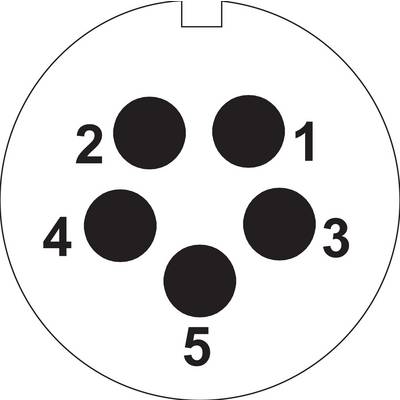 Weipu SP2110 / P 5 II Rundstecker Stecker, gerade Gesamtpolzahl: 5 Serie (Rundsteckverbinder): SP21 1 St.-3