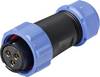 Weipu SP2110 / S 3 I Rundstecker Buchse, gerade Gesamtpolzahl: 3 Serie (Rundsteckverbinder): SP21 1 St.