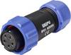 Weipu SP2110 / S 5C II Rundstecker Buchse, gerade Gesamtpolzahl: 5 Serie (Rundsteckverbinder): SP21 1 St.