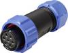 Weipu SP2110 / S 7 II Rundstecker Buchse, gerade Gesamtpolzahl: 7 Serie (Rundsteckverbinder): SP21 1 St.