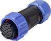Weipu SP2110 / S 12 II Rundstecker Buchse, gerade Gesamtpolzahl: 12 Serie (Rundsteckverbinder): SP21 1 St.