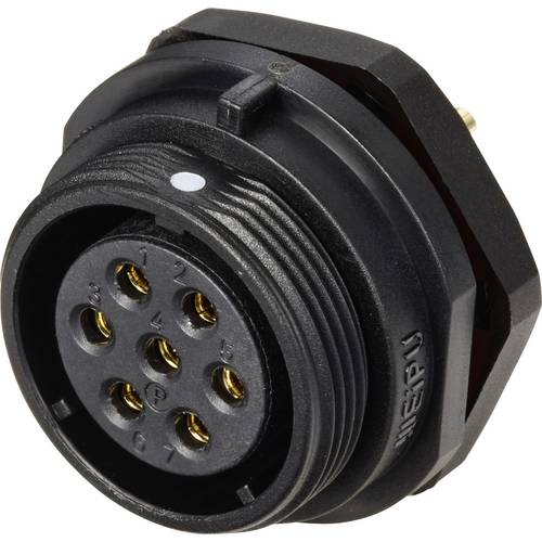 Weipu SP2112 / S 7 Rundstecker Buchse, Einbau Gesamtpolzahl: 7 Serie (Rundsteckverbinder): SP21 1 St.