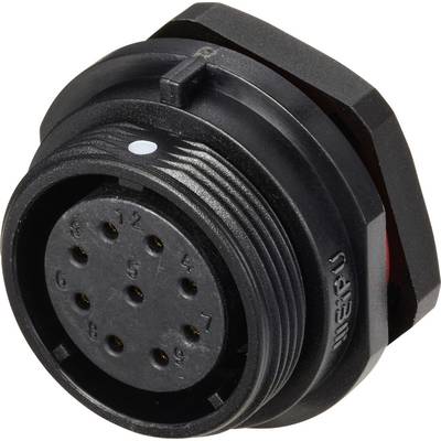 Weipu SP2112 / S 9 Rundstecker Buchse, Einbau Gesamtpolzahl: 9 Serie (Rundsteckverbinder): SP21 1 St.-0