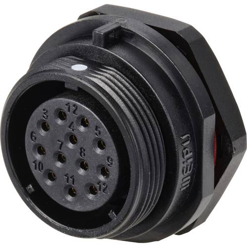 Weipu SP2112 / S 12 Rundstecker Buchse, Einbau Gesamtpolzahl: 12 Serie (Rundsteckverbinder): SP21 1 St.