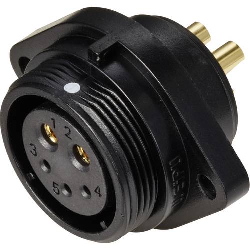 Weipu SP2113 / S 5B Rundstecker Buchse, Einbau Gesamtpolzahl: 5 Serie (Rundsteckverbinder): SP21 1 St.