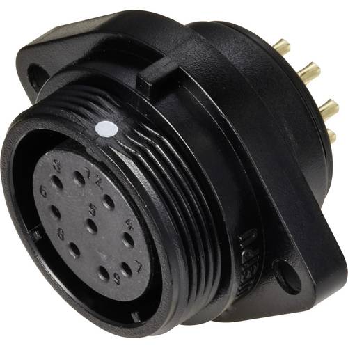 Weipu SP2113 / S 9 Rundstecker Buchse, Einbau Gesamtpolzahl: 9 Serie (Rundsteckverbinder): SP21 1 St.