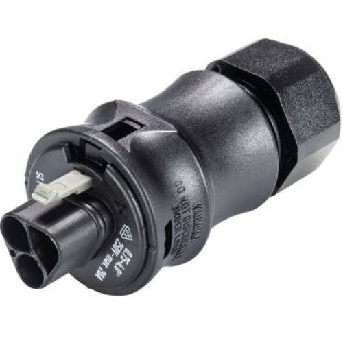 Wieland Electric 96.022.4053.1 Rundstecker Stecker, gerade Gesamtpolzahl: 2 Serie (Rundsteckverbinder): RST® CLASSIC 1 S...
