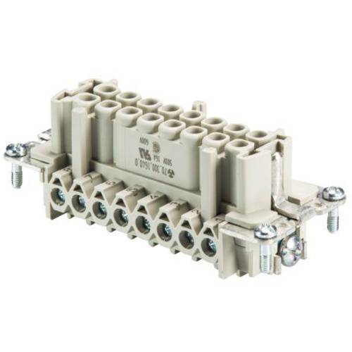 Wieland Electric 70.300.1640.0 Buchseneinsatz BAS Gesamtpolzahl 16 + PE 1 St.